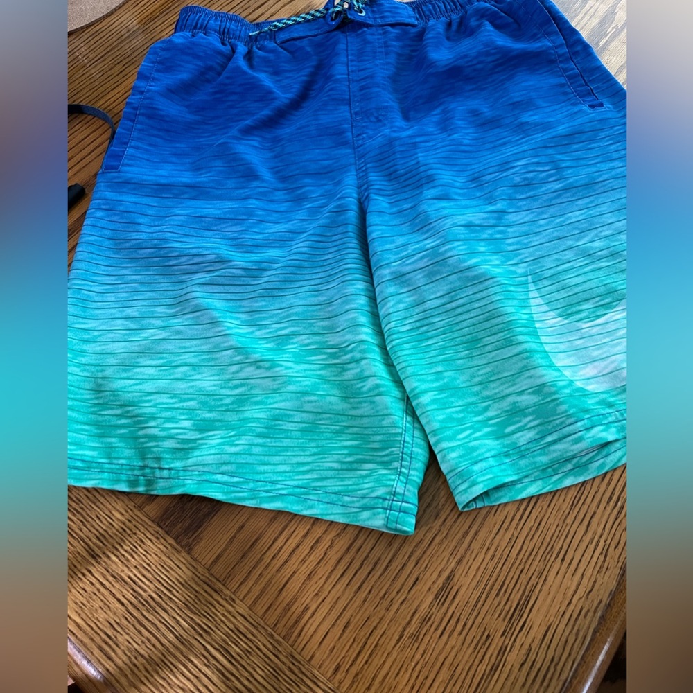 Men’s 19” L Nike Swim Trunks Size S.